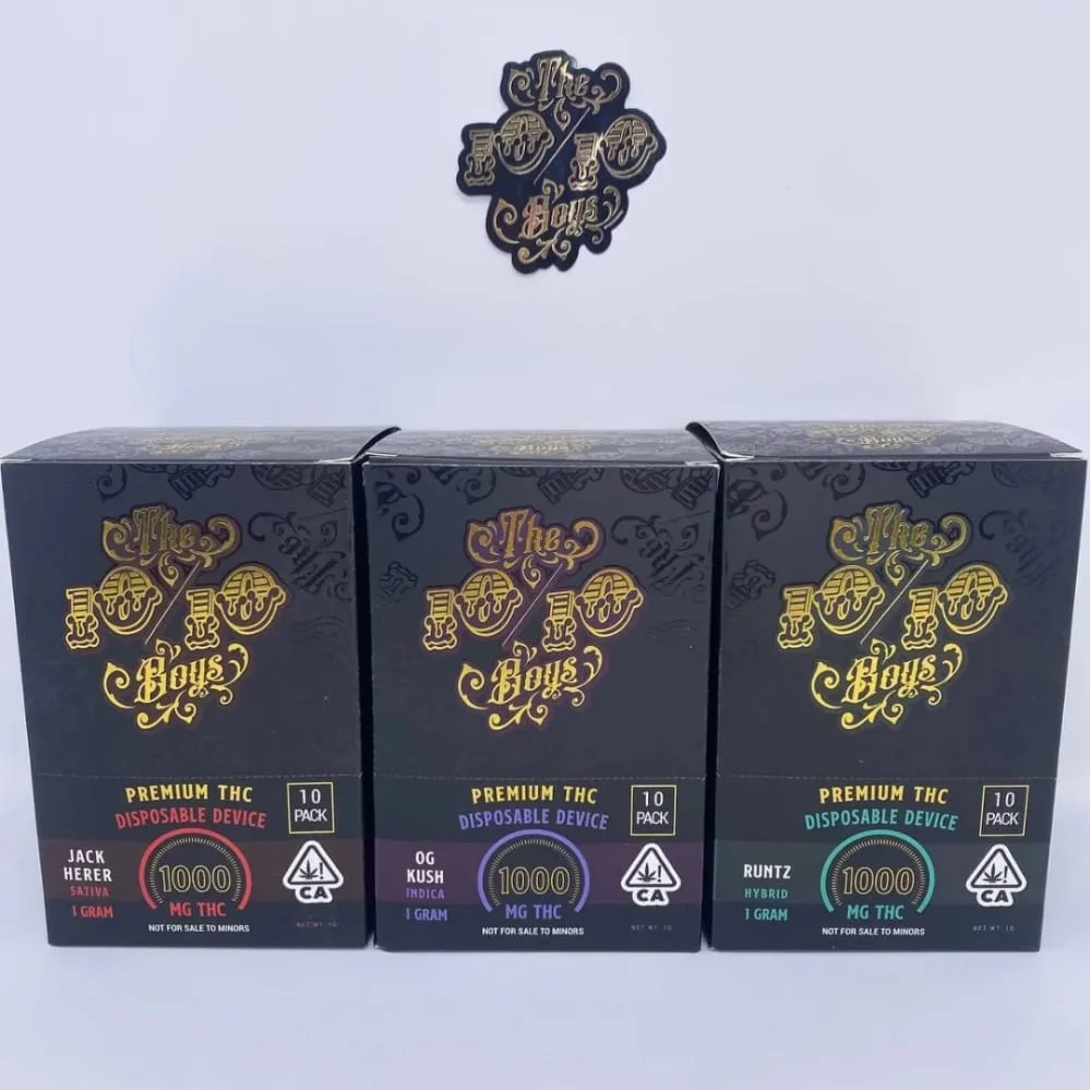 10/10 Premium THC Disposable - Image 2