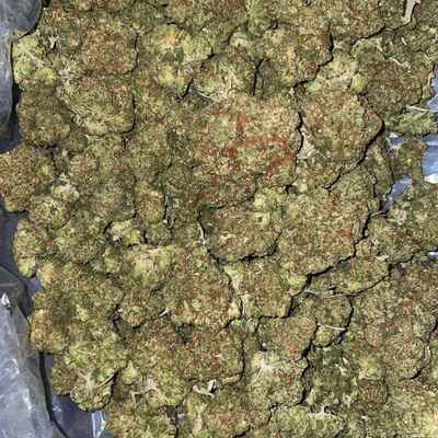 Horchata Strain | Backpackboyz - Image 4