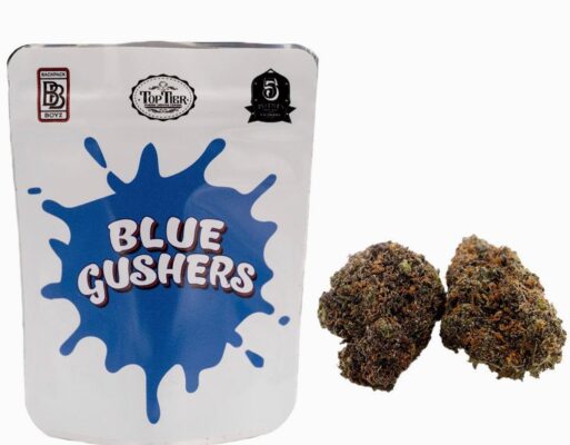 Blue Gushers Strain | Backpackboyz