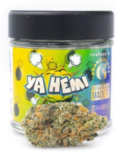 Alternative view of Ya Hemi strain