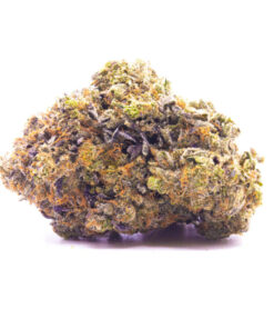 Alternative view of Khalifa kush Strain