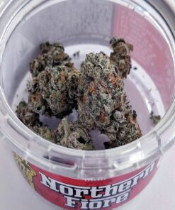 Alternative view of Northern Fiore Strain
