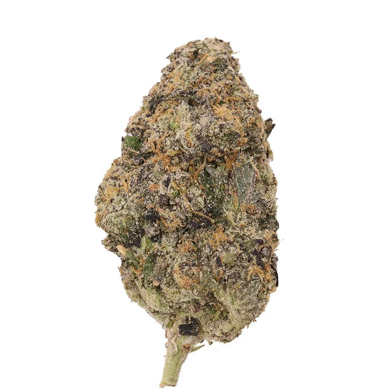 Ya Hemi strain - Image 4